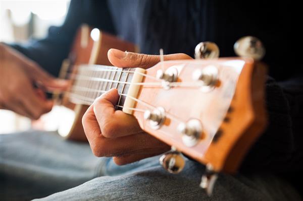 Ukulele